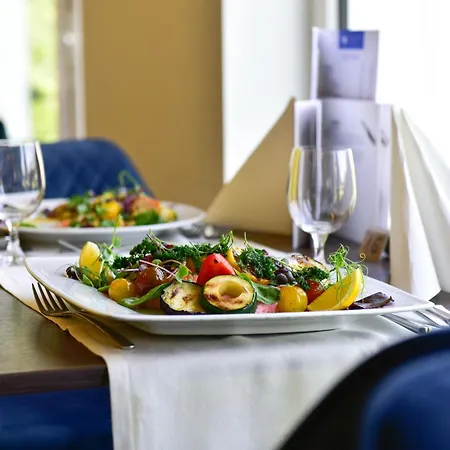 Yacht Wellness & Business